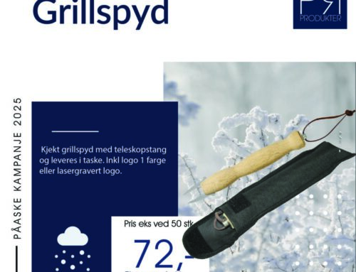 Grillspyd